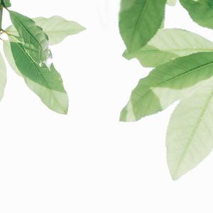 㓜交videos老少配黑人
